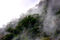 Cloud forest..and above  the cloud was......
