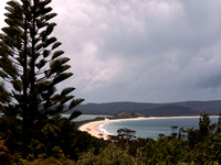 A beautiful island and home to all of Tasmania's endemic birds.