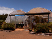 With a  climate that allows the use of poly-tunnels as  cafes !