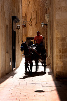 ...and even the  touristy horse-drawn carriages  seem to fit in well.