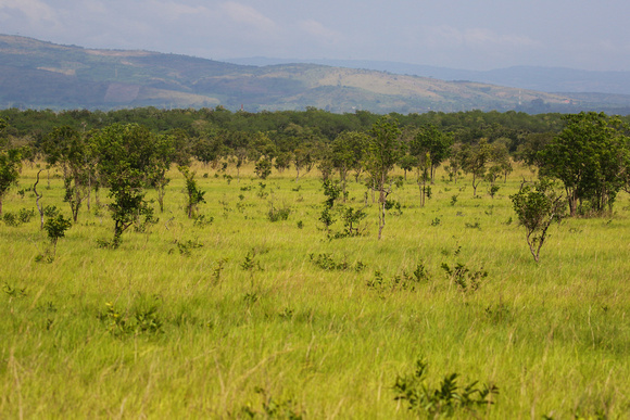The  grassland of Shai Hills, outside  Accra.