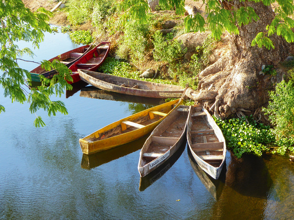 Local canoes on a quiet backwater.