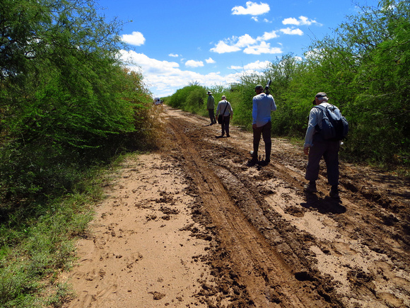 Back from the salinas to where our  bus had managed to get itself out of the mud!