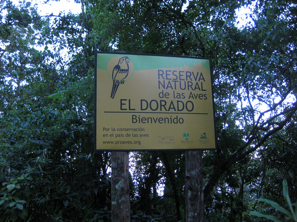 El Dorado reserve in the Santa Marta Mts.