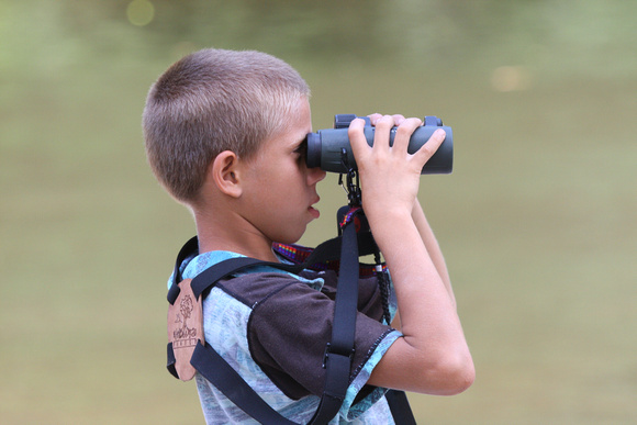 An up-and-coming Colombian birder ?!