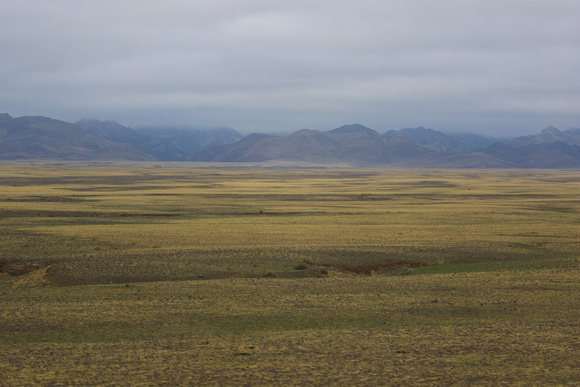 The wide open spaces  of the Gobi......
