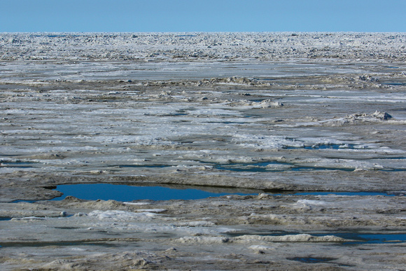 Still sea-ice  right up to the shore in June.