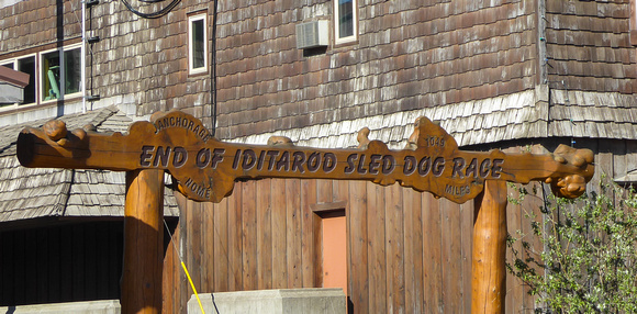 Nome is Iditarod country too.