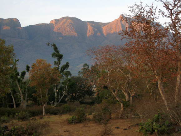 Sunrise at Mudumalai Reserve