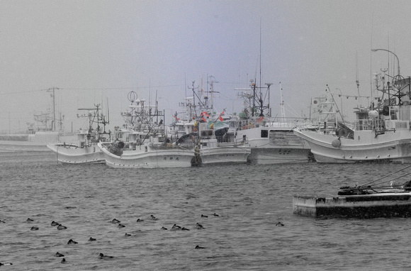 ...and the fishing fleet was in port.