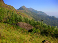 In the Nilgiri Hills