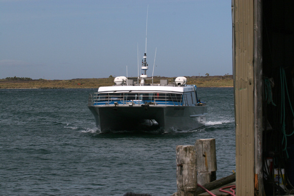 ...to board   the white-knuckle ferry to Stewart Island