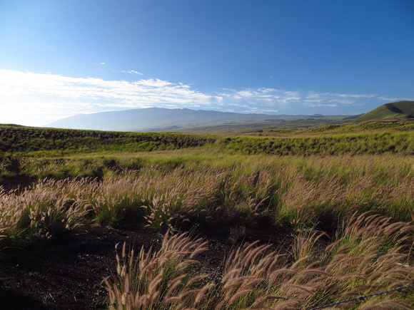 More grasslands  on the once huge Parker Ranch.