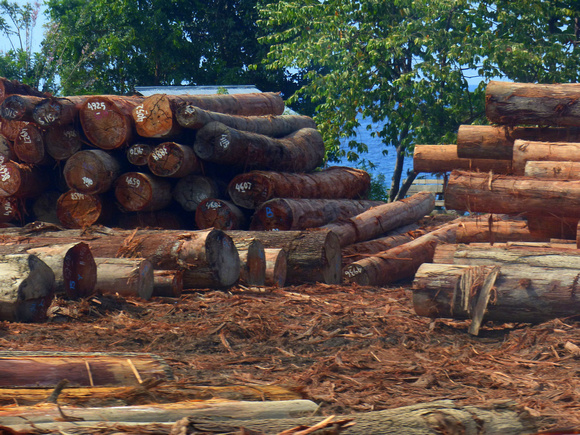 Still lots of logging...unfortunately.