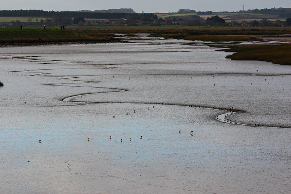 Waders on the tidal mud.