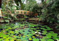 Our first stop was the Col-I-Suva Rainforest Ecoresort.....