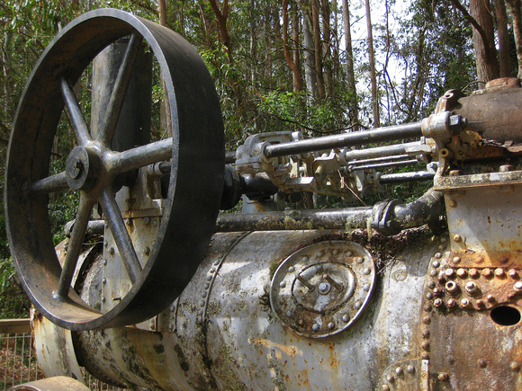 Steam engine from the old logging days at Dingo Tops.