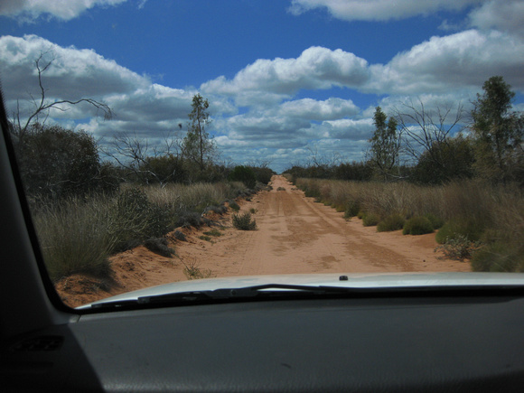 The endless dirt  roads of  the wonderfully  named  Gluepot Reserve.