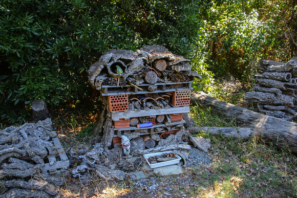 Now that's a  bug  house  !!